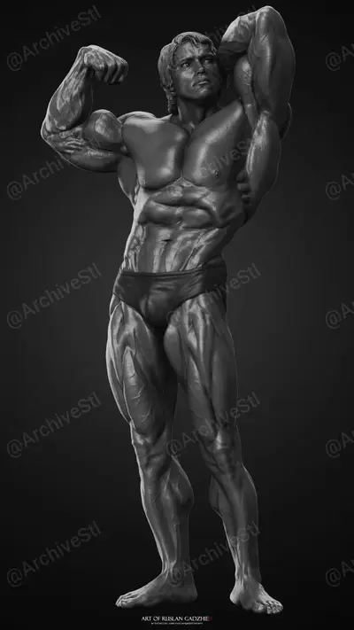 Arnold Archivo Stl Para Impresion 3D