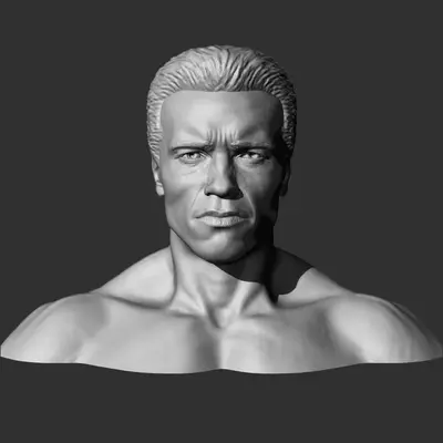 Arnold Schwarzenegger Archivo Stl Para Impresion 3D