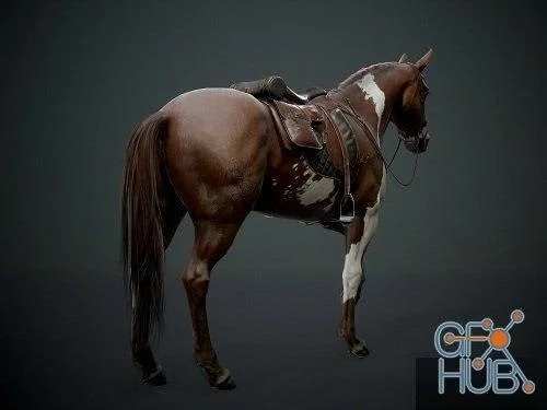 Caballo Archivo STL Impresión 3D