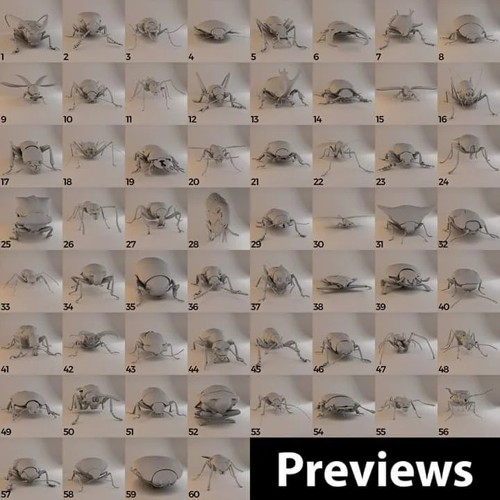 Insectos Insects Beetles Pack 60 Species Archivo STL Impresión 3D