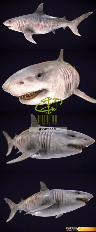 Megalodon Archivo STL Impresión 3D