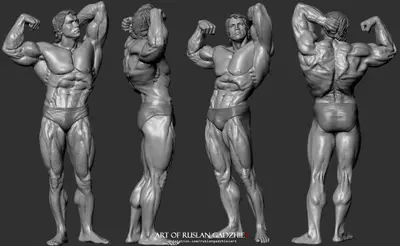 Mr Universe Arnold Archivo Stl Para Impresion 3D