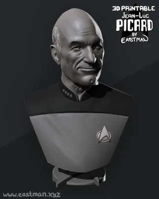 Picard Busto Archivo STL Impresión 3D