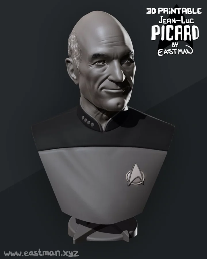 Picard Busto Archivo STL Impresión 3D