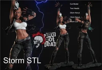 Storm Punk Archivo Stl Para Impresion 3D