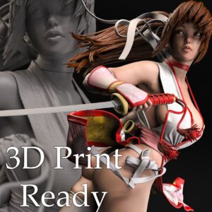 Kasumi 3D Archivo Stl Para Impresion 3D